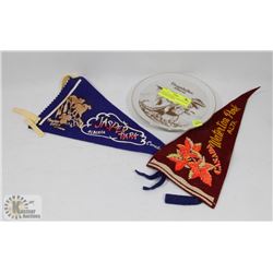 VINTAGE DRUMHELLER PLATE AND WATERTON PARK &