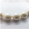 Image 2 : 168) STERLING SILVER FW PEARL NECKLACE