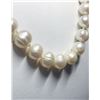 Image 2 : 188) STERLING SILVER PEARL NECKLACE