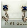 Image 1 : 198) 14KT GOLD SAPPHIRE EARRINGS