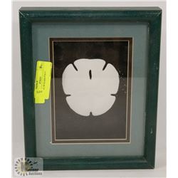 SEA SHELL IN GLASS 9"X11".