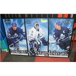 TORONTO MAPLE LEAFS PICTURE