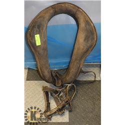 VINTAGE HORSE COLLAR AND HALTER