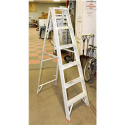 6' LADDER