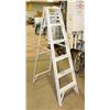 Image 1 : 6' LADDER