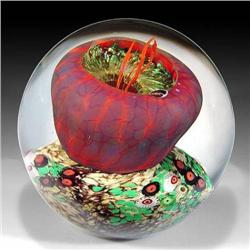 Rick Satava 2005 Magnum Paperweight 