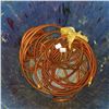 Image 1 : AIR HOSE