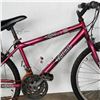 Image 2 : TRIBAL JUSTICE BIKE