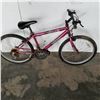 Image 3 : TRIBAL JUSTICE BIKE