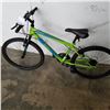 Image 3 : GREEN MOVELO BIKE