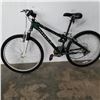 Image 1 : GREEN MIELE BIKE