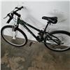 Image 3 : GREEN MIELE BIKE
