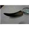 Image 3 : HORN MAGNIFYING GLASS