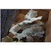 Image 3 : LOT OF CORAL PIECES - FAN CORAL AND OTHERS