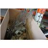 Image 4 : LOT OF CORAL PIECES - FAN CORAL AND OTHERS