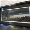 Image 3 : DISTANT STORM BY JOHN PETRELLA LIMITED EDITION PRINT 24906