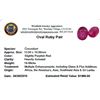 Image 2 : 16.69 ctw Oval Mixed Ruby Parcel