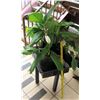 Image 1 : Potted Plant on Square Black Stool