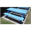 Image 1 : Blue Picnic Table