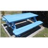 Image 3 : Blue Picnic Table