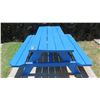 Image 2 : Blue Picnic Table