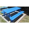 Image 3 : Blue Picnic Table