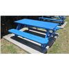 Image 1 : Blue Picnic Table