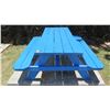 Image 2 : Blue Picnic Table