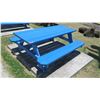 Image 1 : Blue Picnic Table