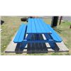 Image 2 : Blue Picnic Table