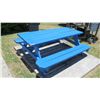 Image 1 : Blue Picnic Table