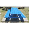 Image 2 : Blue Picnic Table