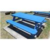 Image 3 : Blue Picnic Table