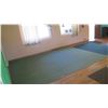 Image 1 : Large Dark Green Rug (144" x 109") & Blue Rug