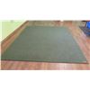 Image 1 : Thick Dark Green Rug (120" x 96")