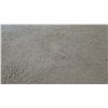 Image 8 : Thick Dark Green Rug (120" x 96")