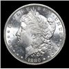 Image 3 : 1880-s . . Morgan Dollar $1 Grades GEM+ UNC DMPL