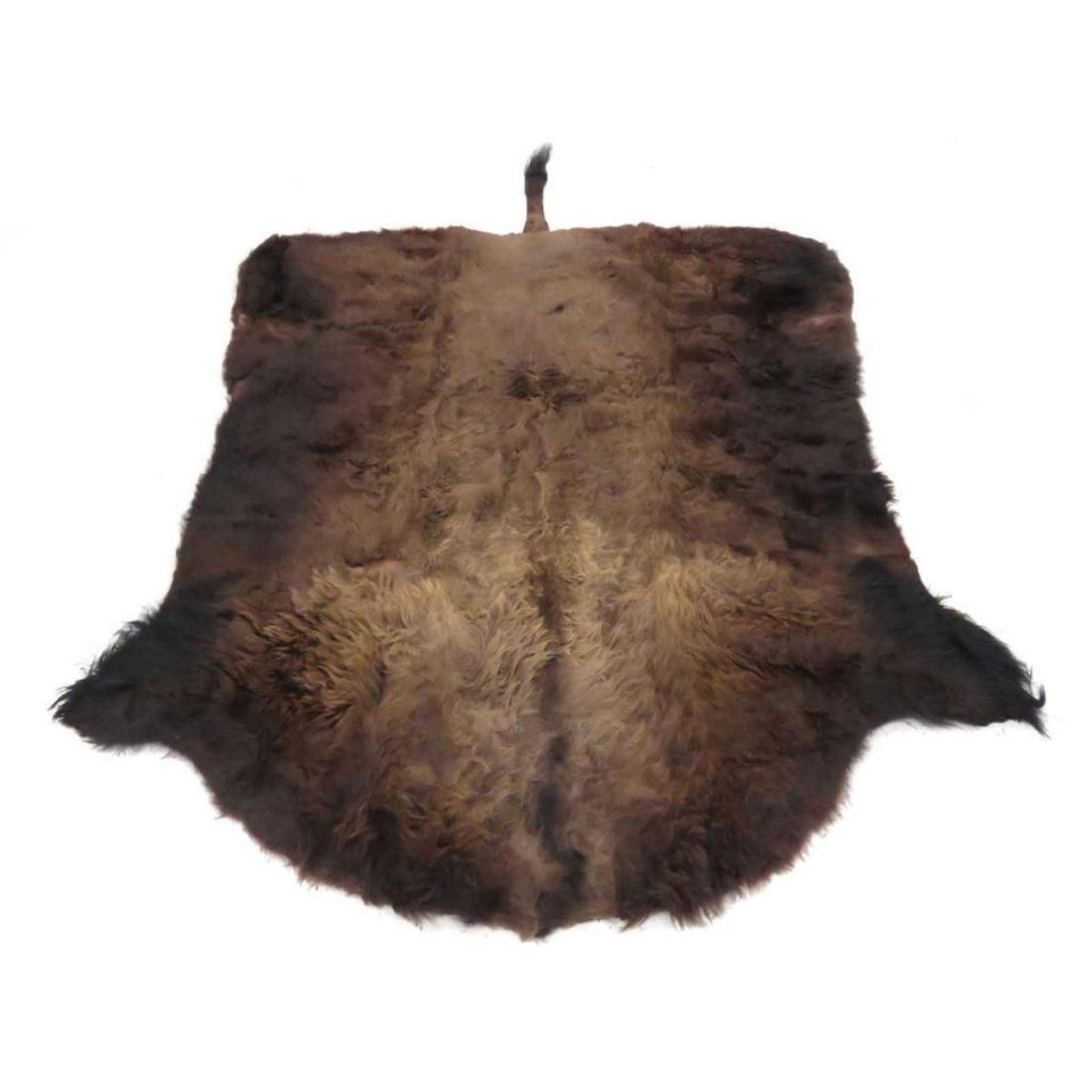 Mammoth Wild West Buffalo Skin Rug