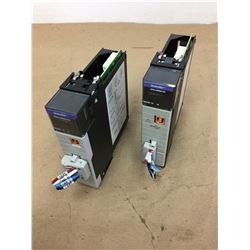 (2) Allen Bradley 1756-DNB Communication Module