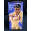 Image 2 : DC Direct Women of the DC Universe Vixen Mini Bust