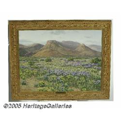 STAPLETON KEARNS (American b. 1952) Cat's Claw Va