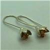 Image 1 : Silver Gold Plated Earrings