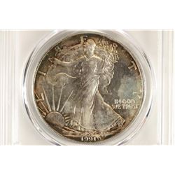 1991 AMERICAN SILVER EAGLE PCGS MS65 TONING