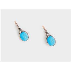 A Pair of Earrings 