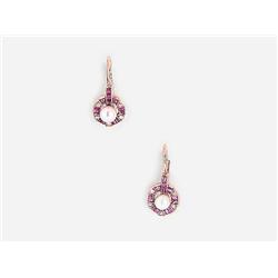 A Pair of Earrings  