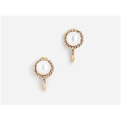 A Pair of Earrings  
