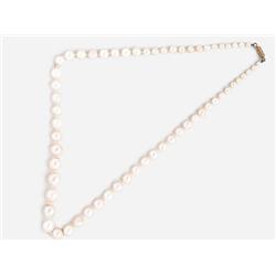 Pearl Necklace 