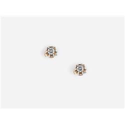 A Pair of Earrings  