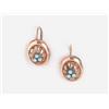 Image 1 : A Pair of Earrings