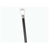 Image 1 : Walking Stick